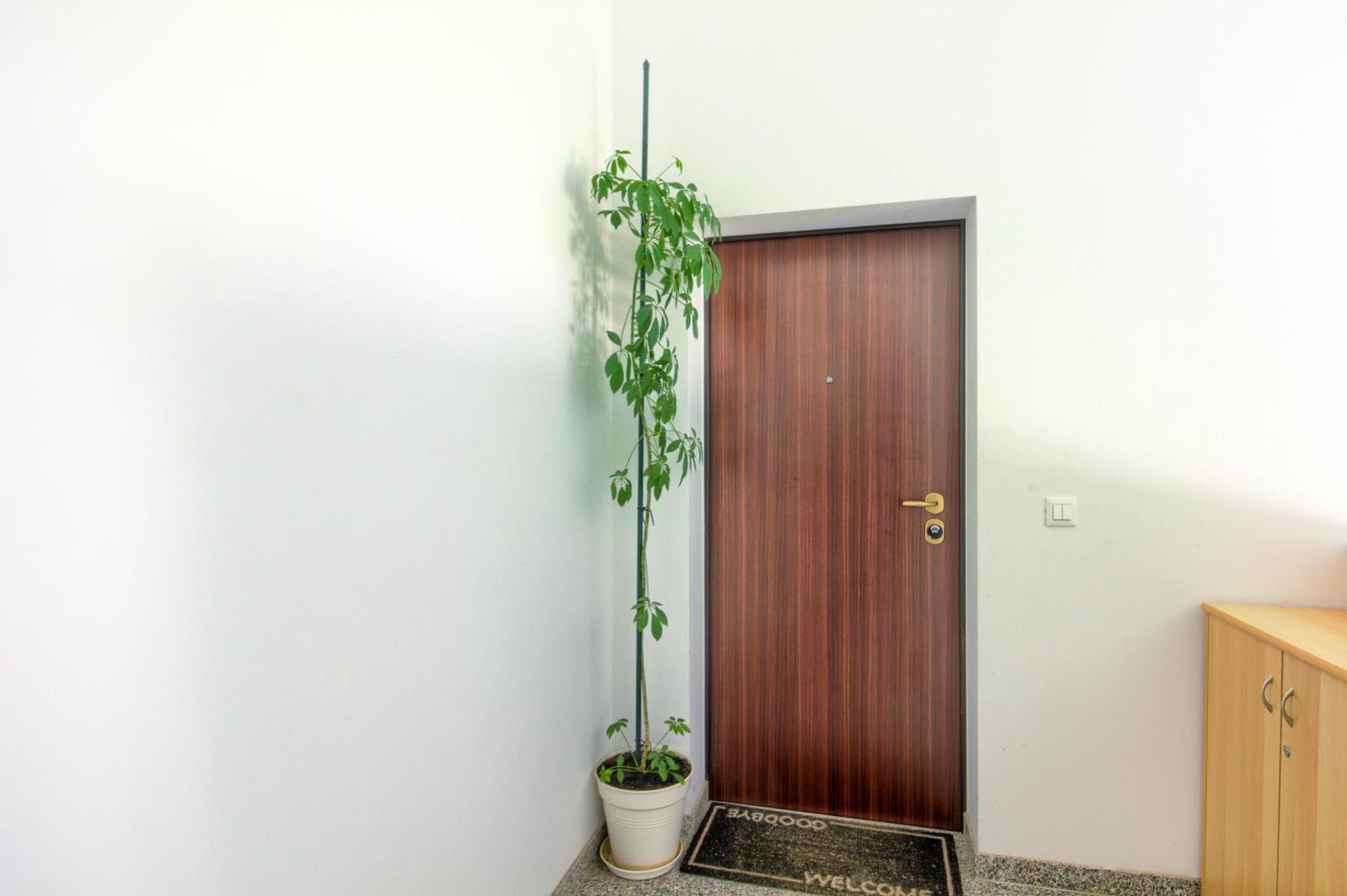 Apartments Zara Dış mekan fotoğraf